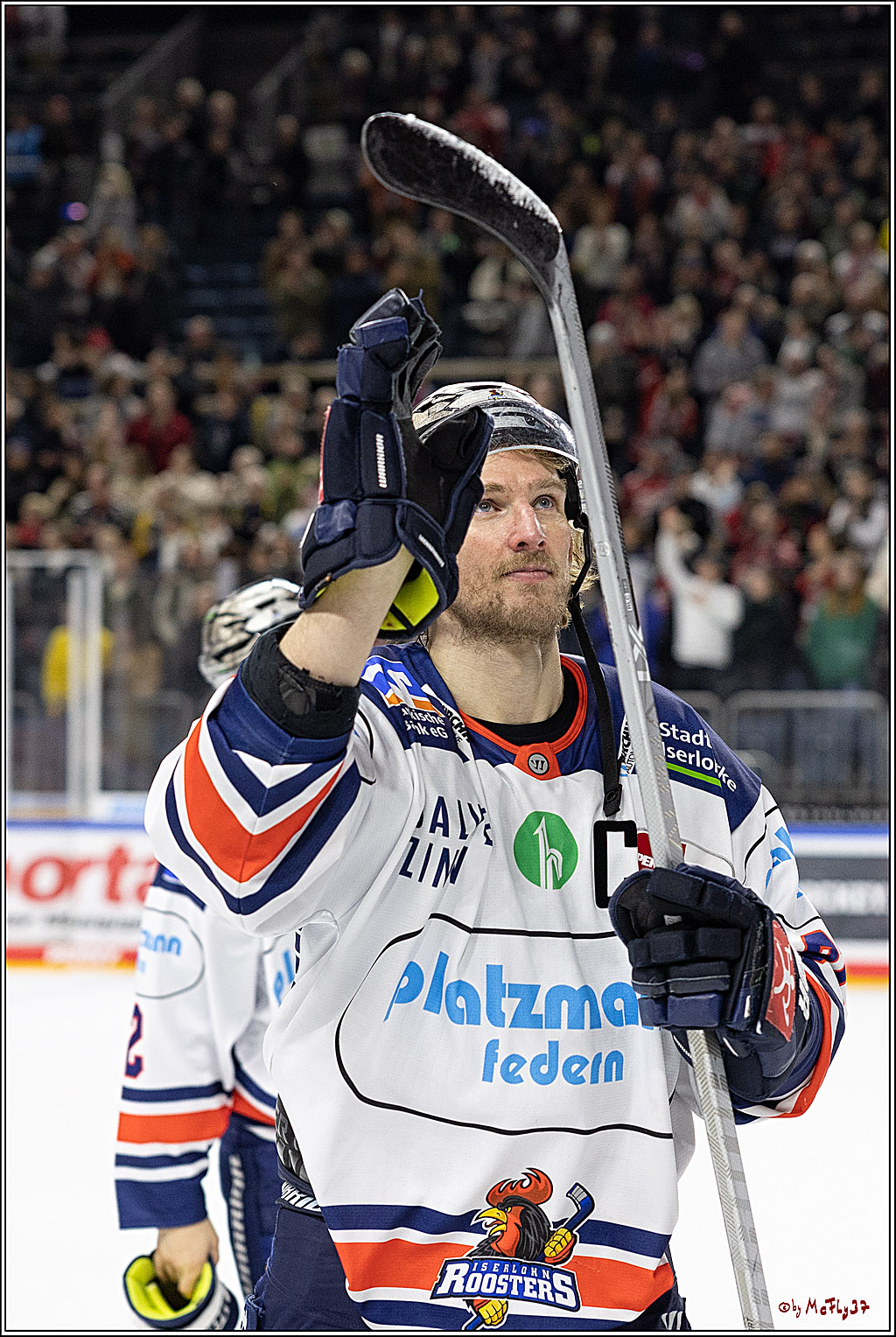 PENNY DEL;  Koelner Haie - Iserlohn Roosters; Koeln, 24.01.2023